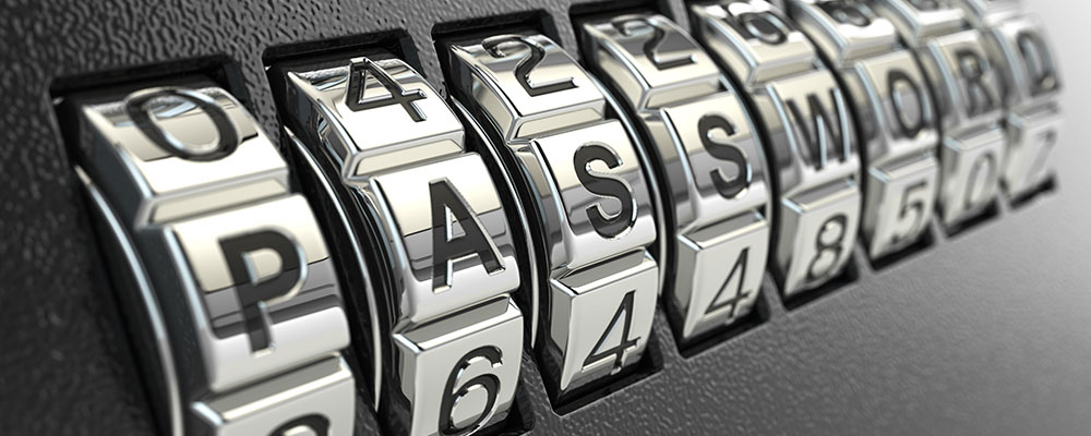 password-briefcase password-briefcase