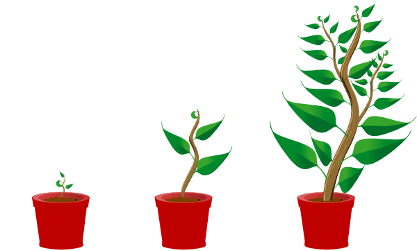 Grow your small business without losing passion or purpose