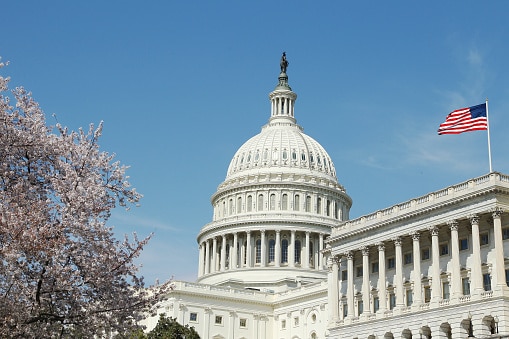 How Our IT Services in Washington DC Can Liberate You from Network “Insecurity” 