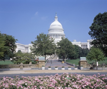 IT Managed Services Provider & IT Company In Washington DC | Intelice