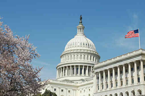 IT Company on Capitol Hill