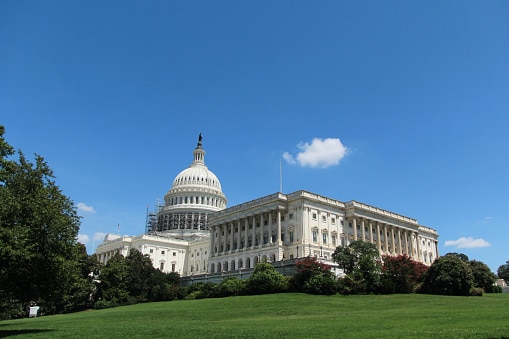 IT Services and Computer Support for Federal Government Contractors – The Real Story (Information)