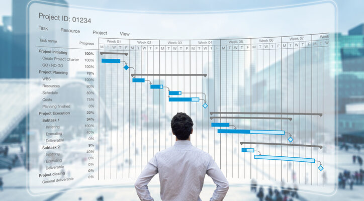 Software License Management