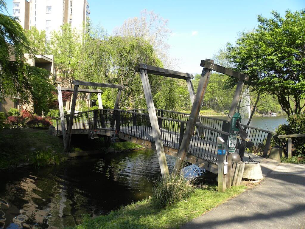 Van Gogh Bridge img Van Gogh Bridge img